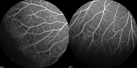 imgonline com ua twotoone a7xh24zb2q9
