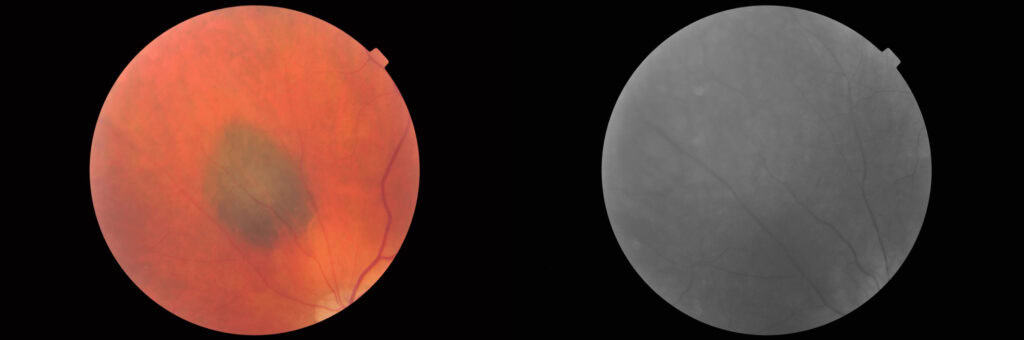 imgonline com ua twotoone 3umpggshuafxp