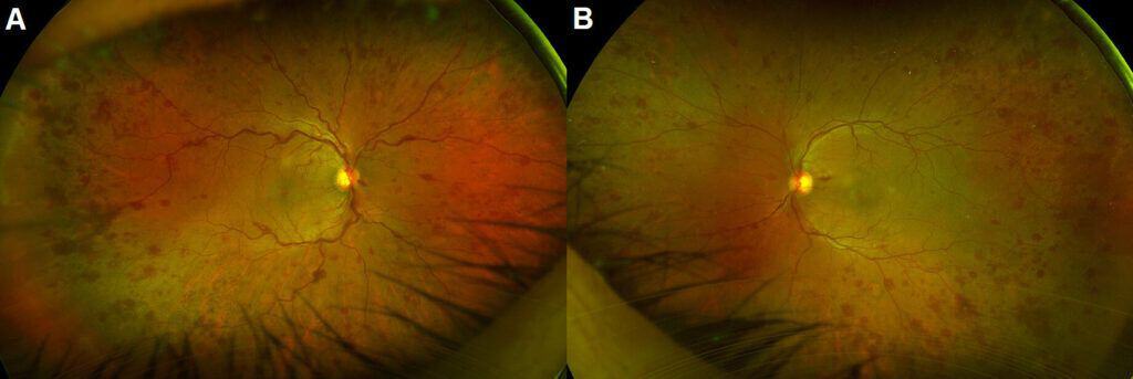 imgonline com ua twotoone qb8w47usiutek (1)