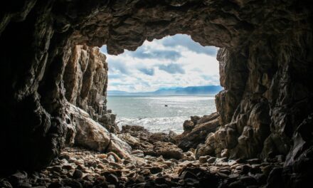 Paradoxical Embolus from Patent Foramen Ovale Resulting in Transient Vision Loss