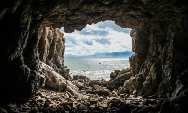 Paradoxical Embolus from Patent Foramen Ovale Resulting in Transient Vision Loss