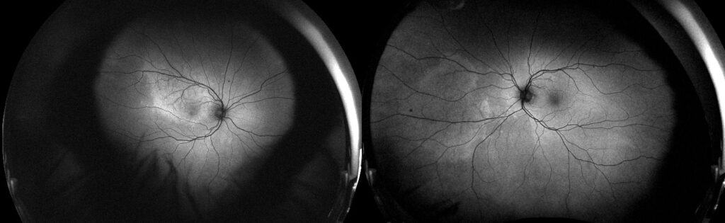 imgonline com ua twotoone 6abahayoxuzcol (1)