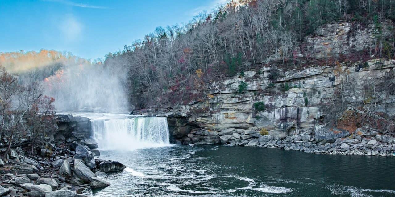 Letter to the Editor: Concern for Patients Seeking Eyecare in Kentucky