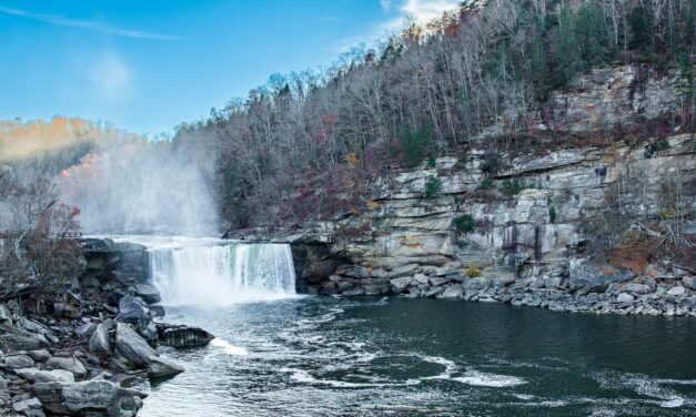 Letter to the Editor: Concern for Patients Seeking Eyecare in Kentucky