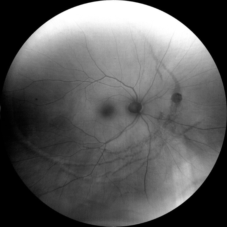 photo essay figure 5 (medium)