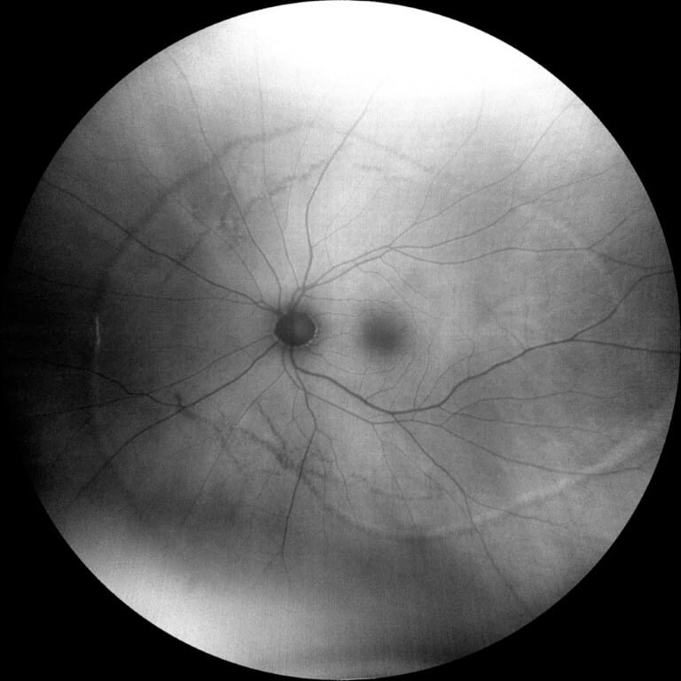 photo essay figure 6 (medium)