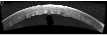 figure 2 (1)