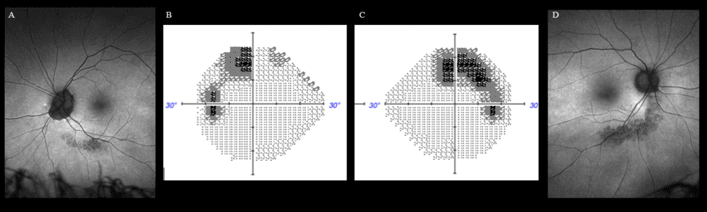 nn figure 1 (1)