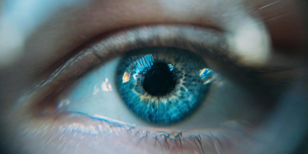 A Review of Ocular Myasthenia Gravis and Its Differential Diagnoses