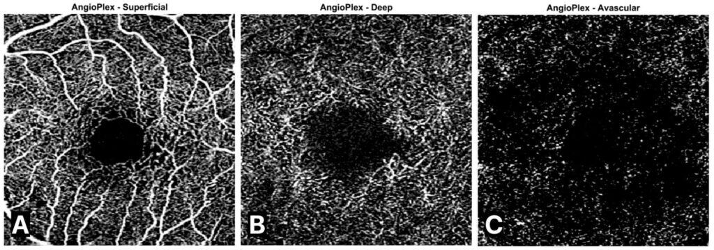 mactel fig 3(1)