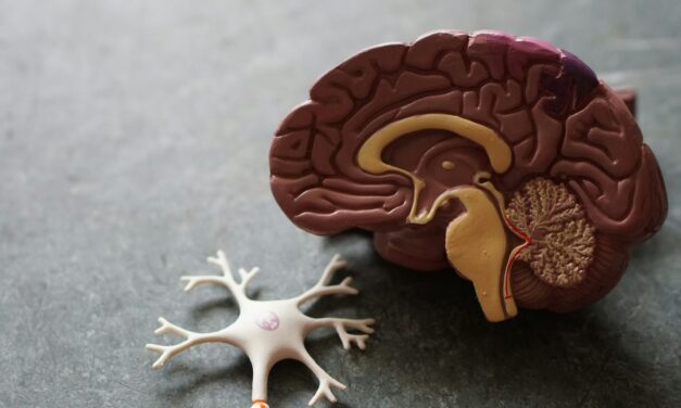 Diagnosis and Management of Posterior Cortical Atrophy from an Eye Care Perspective