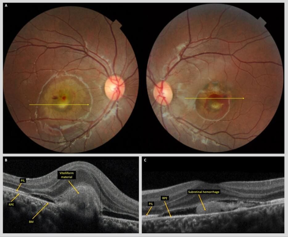 fig1 (1) (medium) (1)