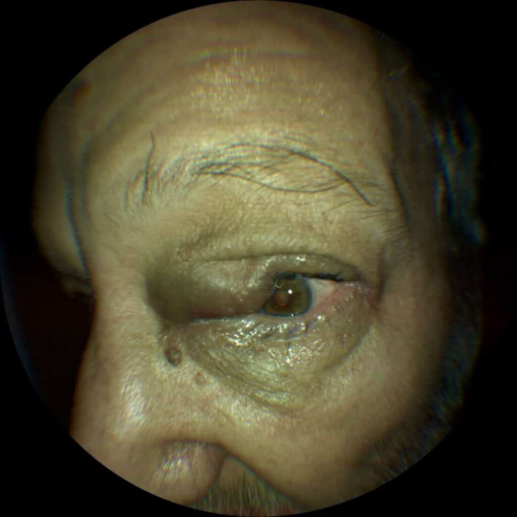 fig 5 (large) (1)