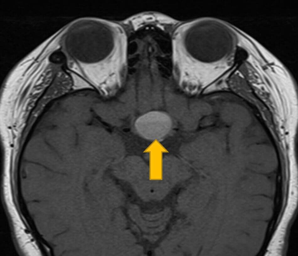 figure 2 (1)