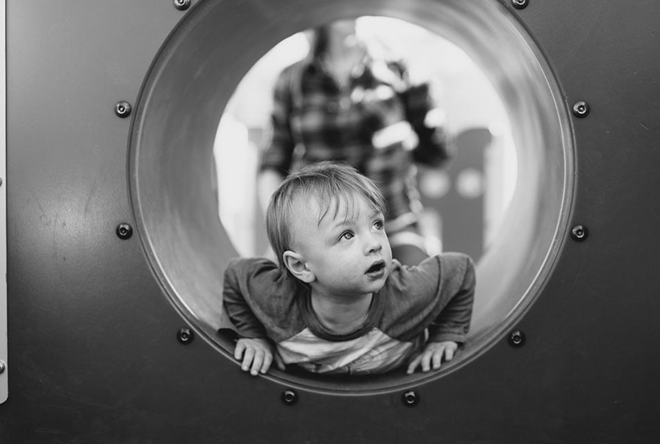 Vestibulum Id Maximus Lectus