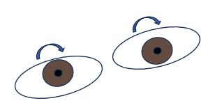skew figure 2(1)