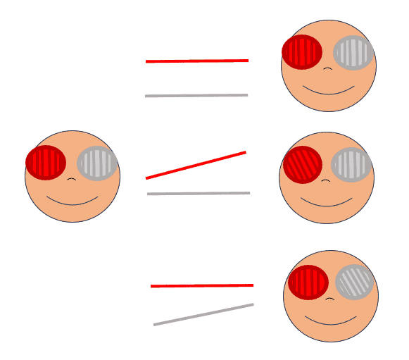 skew figure 4(1)
