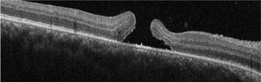 fig4 (1) (2)