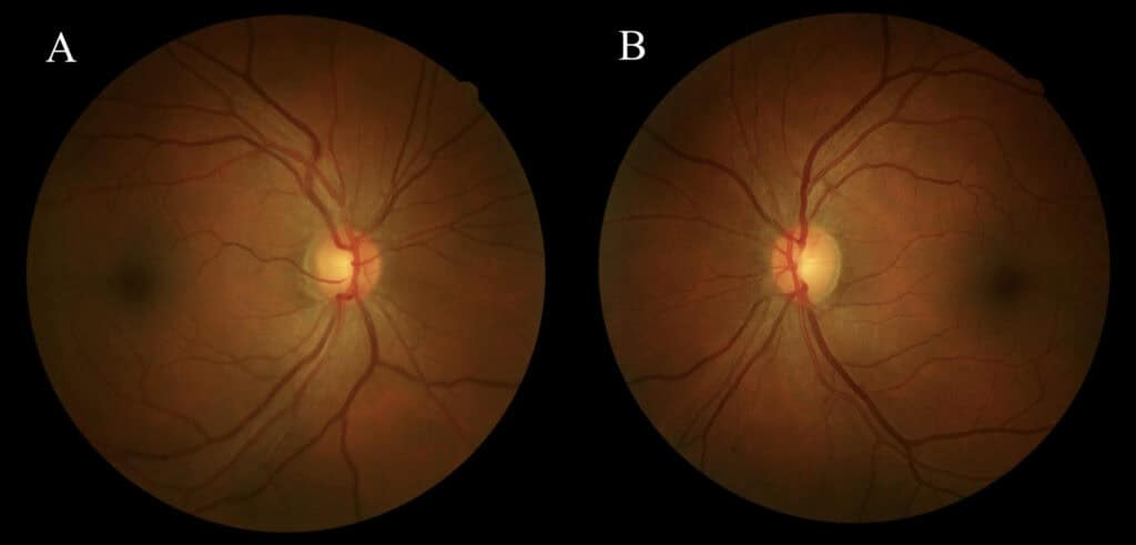 fig 1 combined (1)