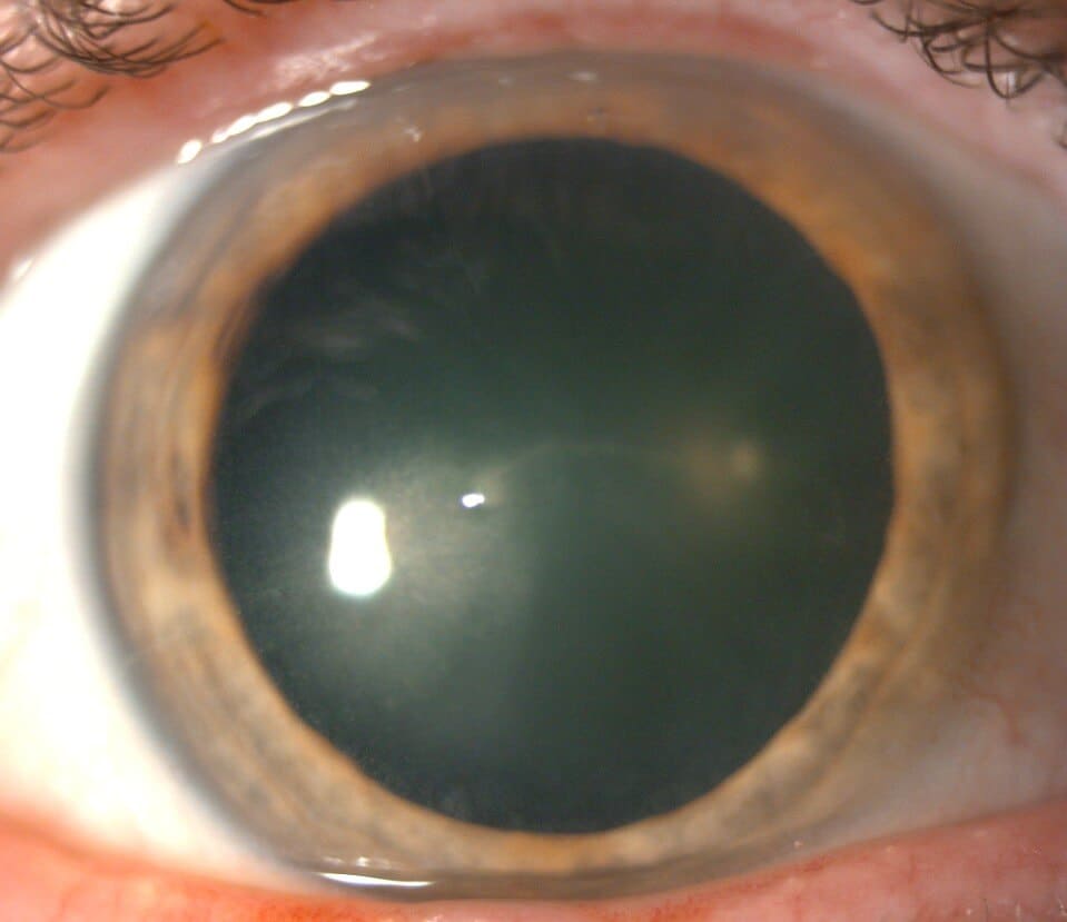 figure 1 (2)