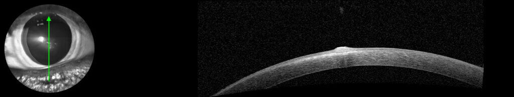 figure 2 (2) (1)